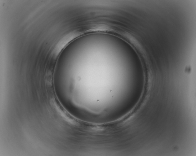 X0000111501329200907141303