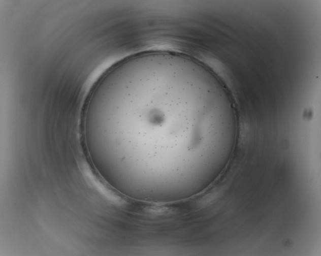 X0000111501331200907141303