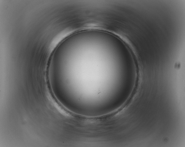 X0000111501333200907141303