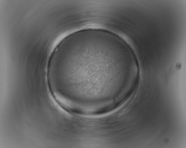 X0000111501334200907141303