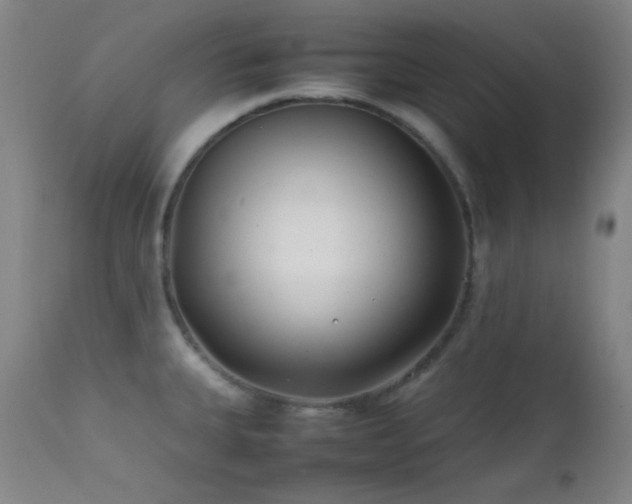 X0000111501335200907141303