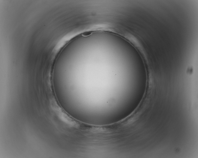 X0000111501336200907141303