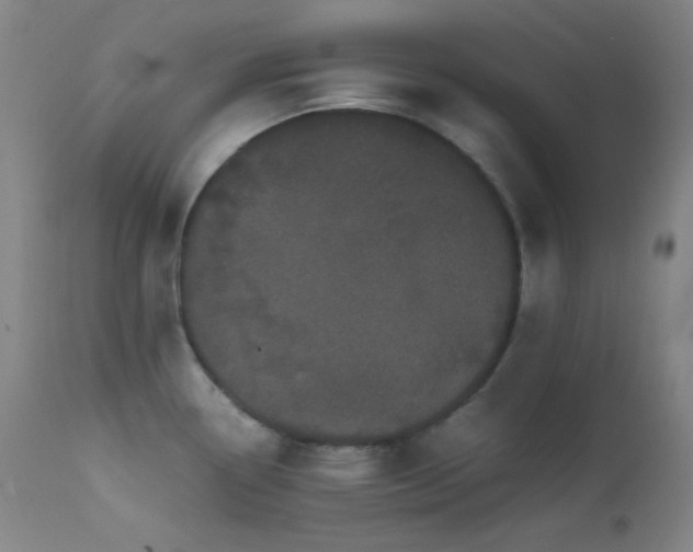 X0000111501338200907141303