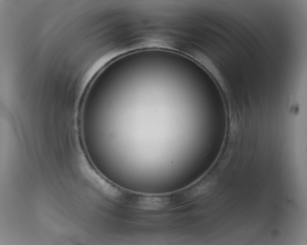 X0000111501339200907141303