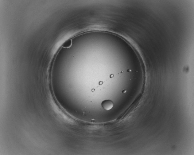 X0000111501341200907141303