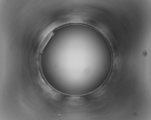 X0000111501342200907141303