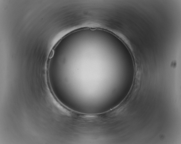 X0000111501343200907141303