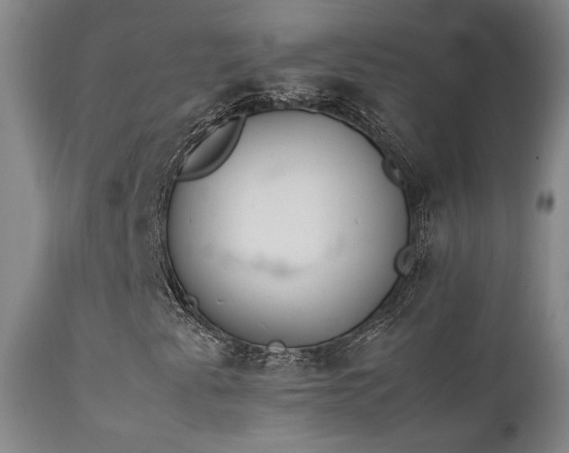 X0000111501345200907141303