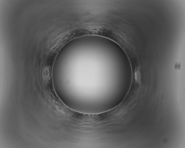 X0000111501347200907141303