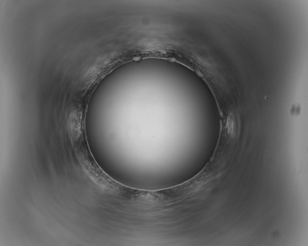 X0000111501348200907141303
