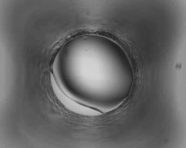 X0000111501349200907141303