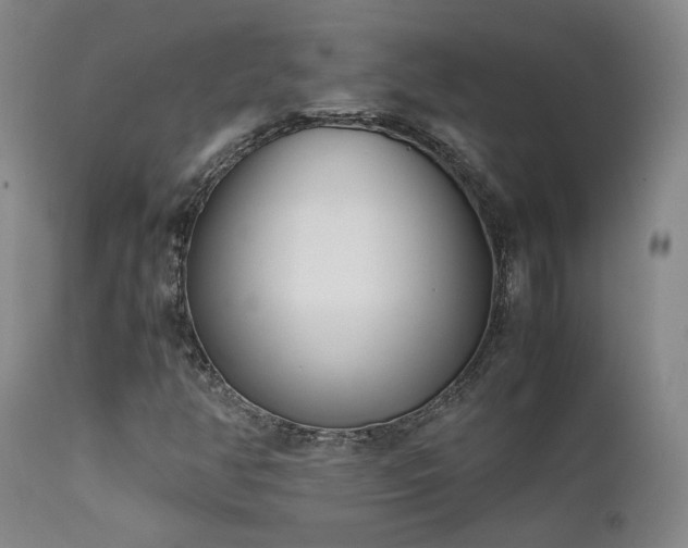 X0000111501350200907141303