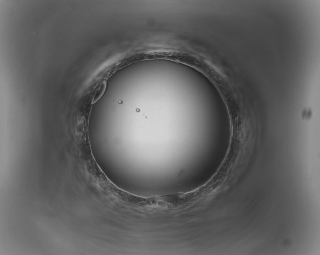 X0000111501351200907141303