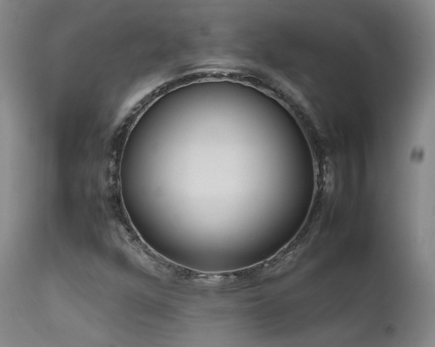 X0000111501352200907141303