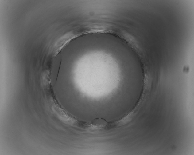 X0000111501353200907141303