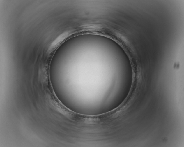 X0000111501354200907141303