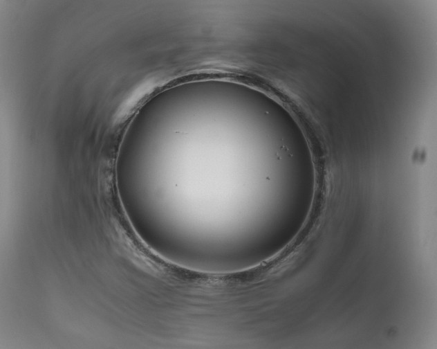 X0000111501355200907141302