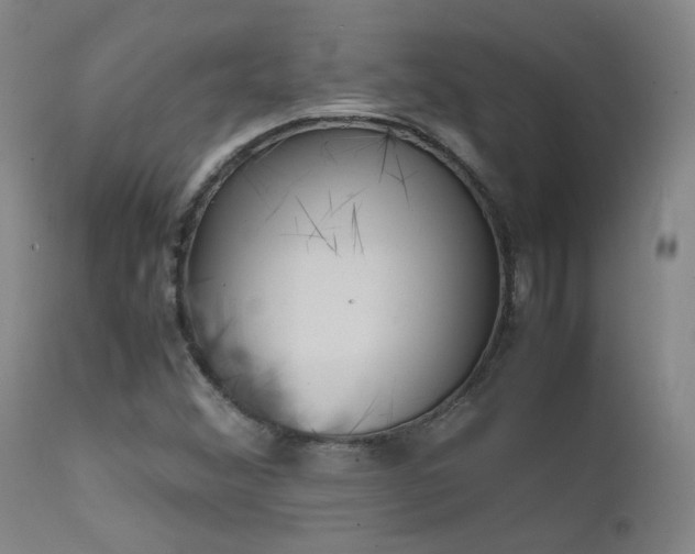 X0000111501356200907141302