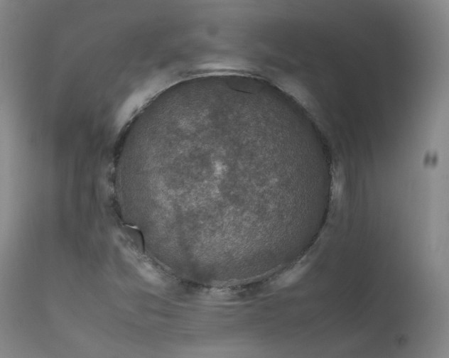X0000111501357200907141302