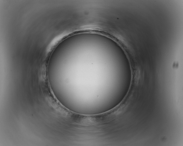 X0000111501358200907141302