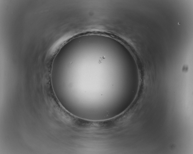 X0000111501359200907141302