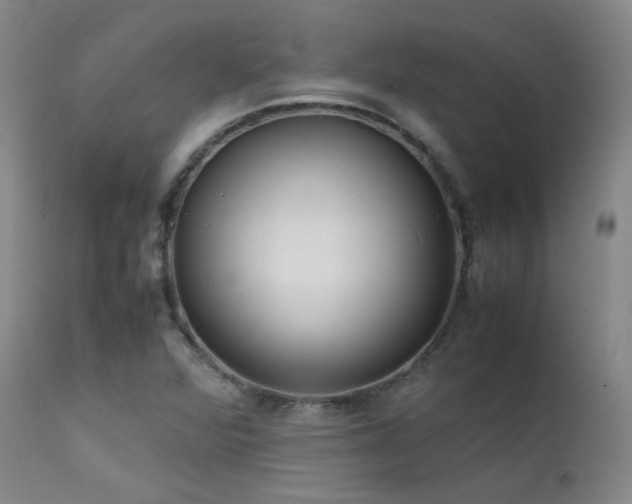 X0000111501360200907141302