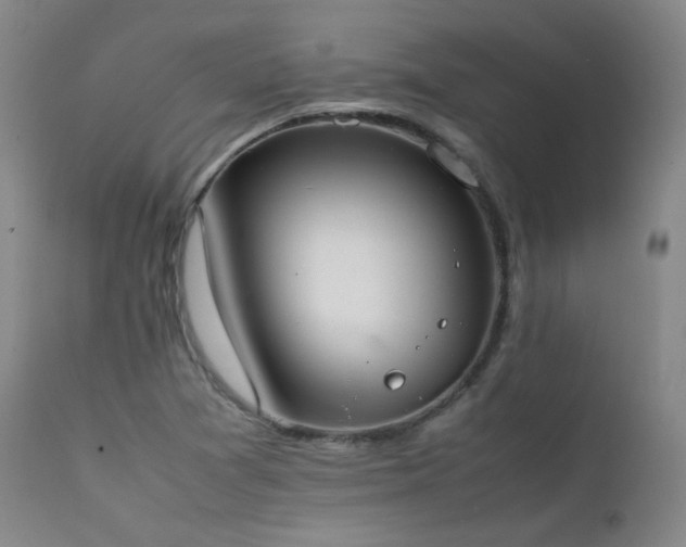 X0000111501361200907141302