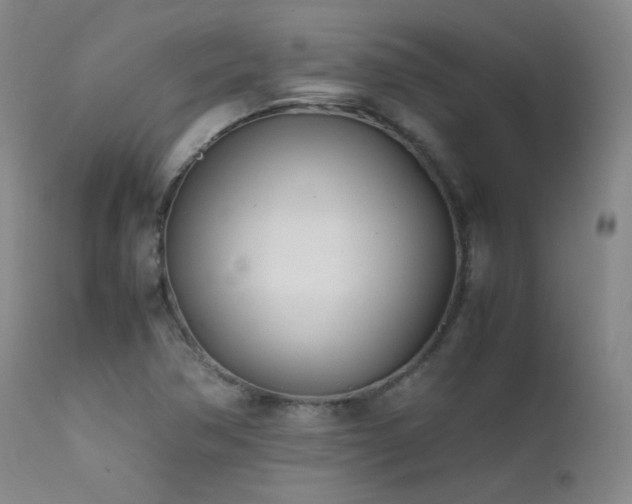 X0000111501362200907141302