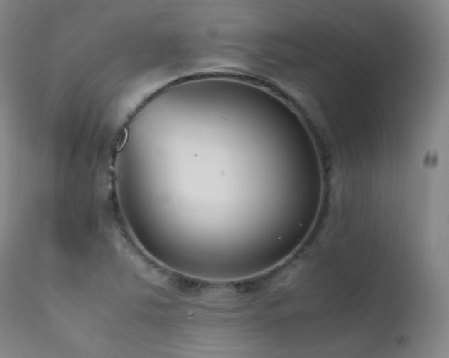 X0000111501363200907141302