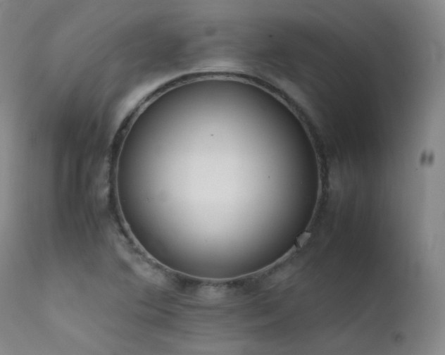 X0000111501364200907141302