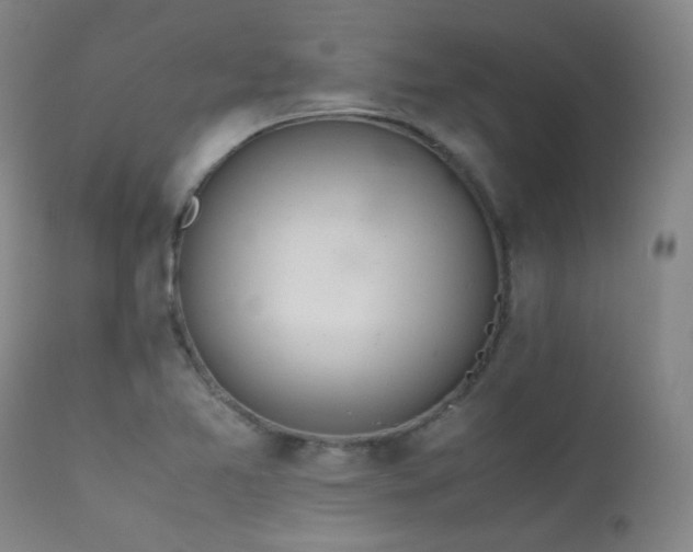 X0000111501365200907141302