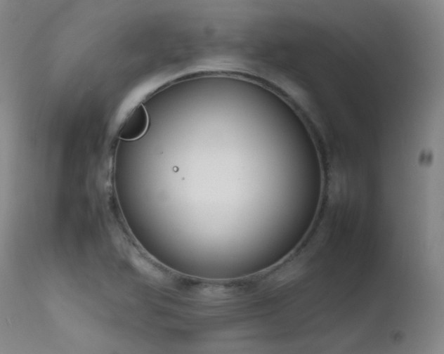 X0000111501366200907141302