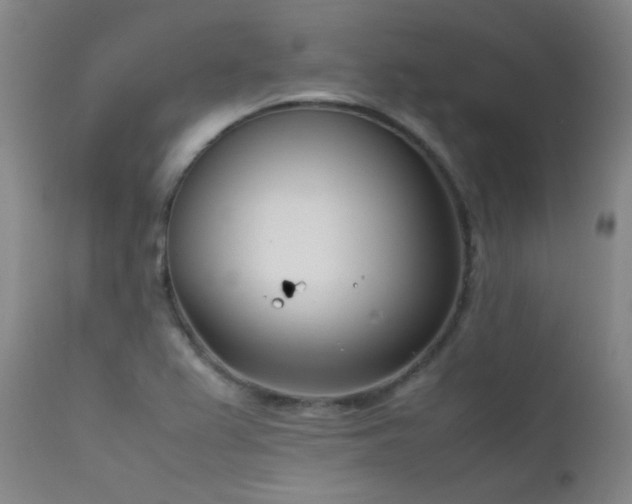 X0000111501367200907141302