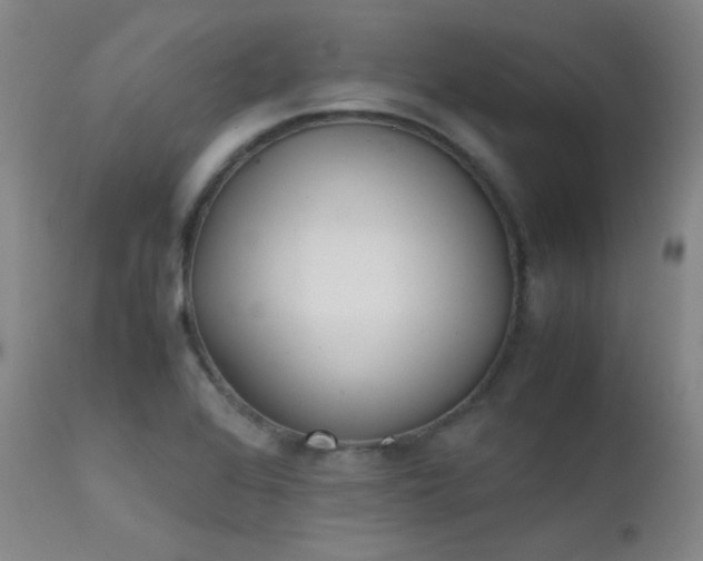X0000111501368200907141302