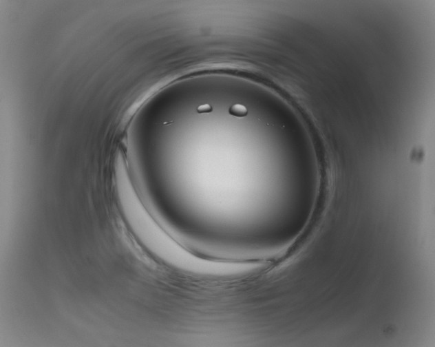X0000111501369200907141302