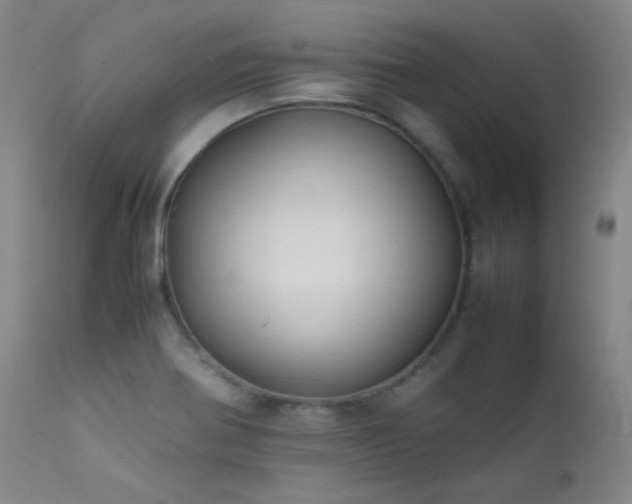 X0000111501370200907141302