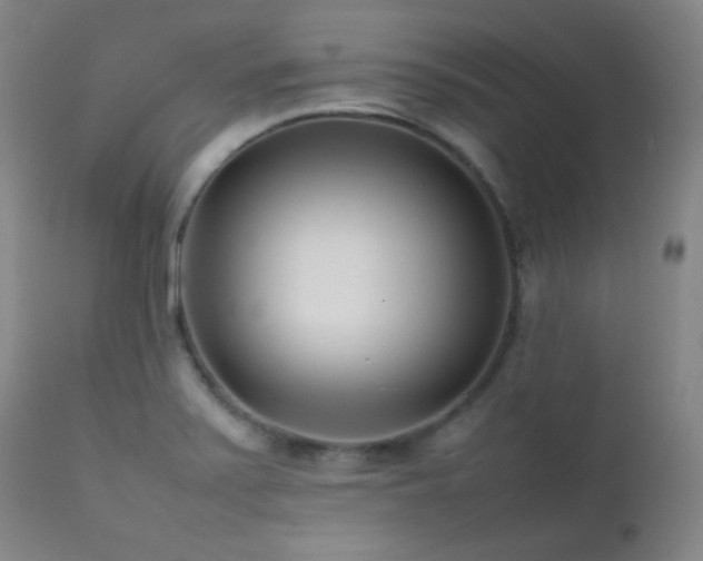 X0000111501371200907141302