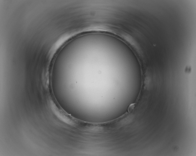 X0000111501372200907141302