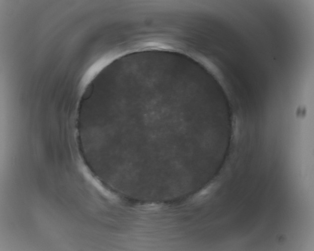 X0000111501373200907141302