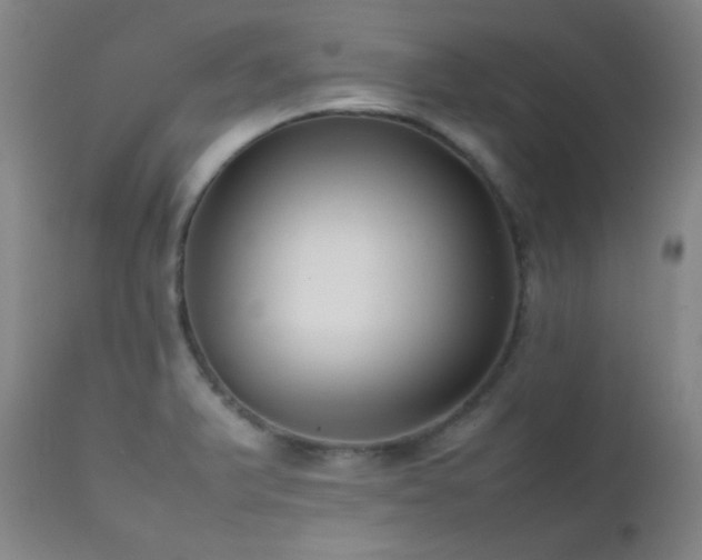X0000111501375200907141302