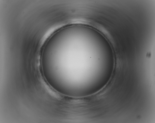 X0000111501376200907141302