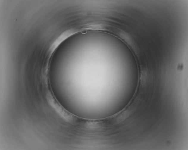 X0000111501378200907141302