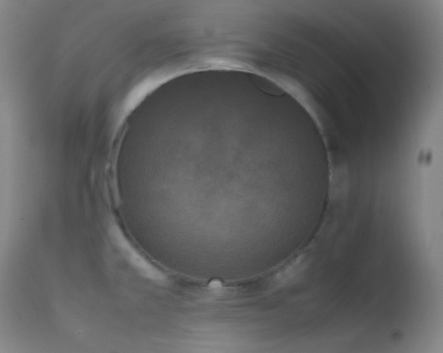 X0000111501381200907141302