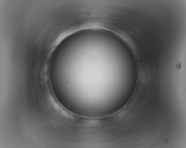 X0000111501382200907141302