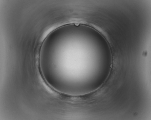 X0000111501383200907141302