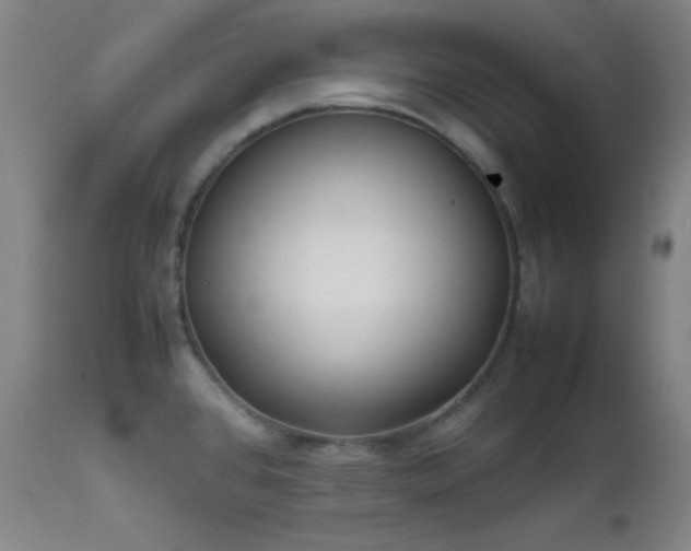 X0000111501384200907141302