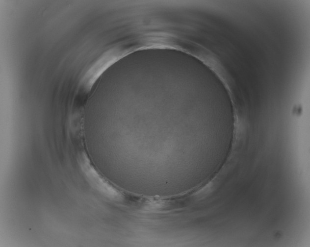 X0000111501385200907141302