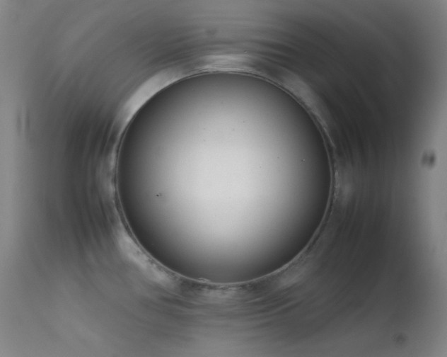 X0000111501386200907141302