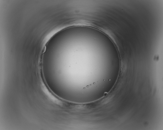 X0000111501387200907141302