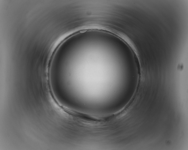 X0000111501388200907141302
